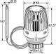 Thermostatkopf mit Anlege- bzw. Tauchfühler von IMI Hydronic Engineering, zur Temperaturregelung, featuring einstellbare Skala und Anschluss für Heizsysteme.